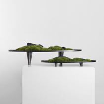 New Chinese four-footed elliptical boat type metal basin Yongsheng moss green planting micro-landscape Xuan Guan Guan Tabletop Pendulum