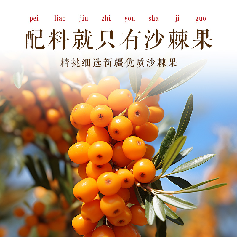 沙棘粉冻干纯粉新疆遍野生长内蒙原汁茶纯原浆果粉官方旗舰店正品
