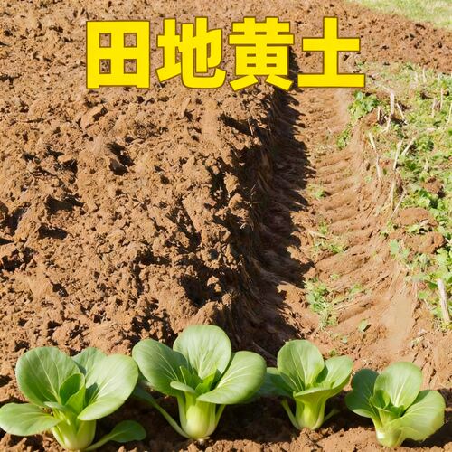 优质天然纯正田园土庭院土壤种植土沙土种花阳台种菜专用养花泥土 - 图0