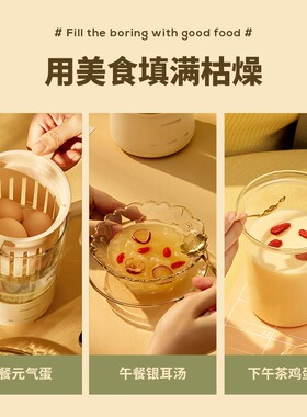 大宇养生壶煮茶器充电线电源线