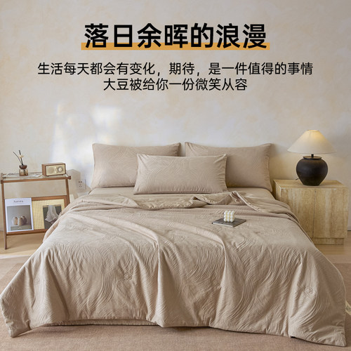 无印良品全棉A类大豆纤维夏凉被四件套夏季空调被子单双人可机洗 - 图2