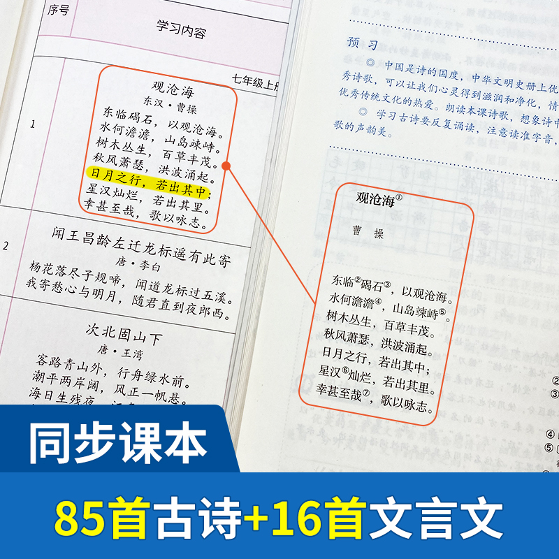 初中古诗词文言文背诵打卡计划复习计划本艾宾浩斯记忆本_三辰图书专营店_书籍/杂志/报纸-第5张图片-提都小院