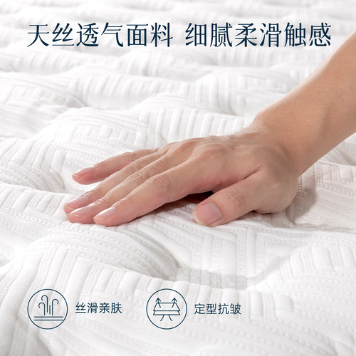 时宝丽天然黄麻护脊棕硬家用卧室国补乳胶床垫十大牌名弹簧席梦思 - 图1