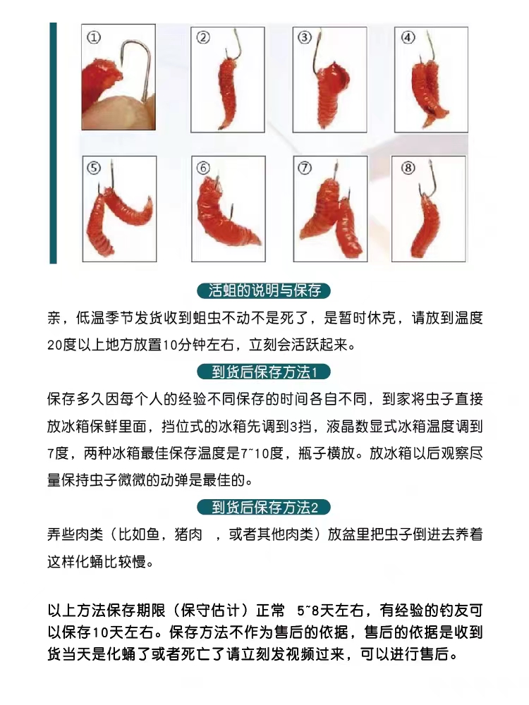 冰钓鱼蛆活蛆红色蛆虫鱼饵苍蝇宝宝鱼饵白蛆钓小公鱼肉蛆牙子蛆虫 - 图1