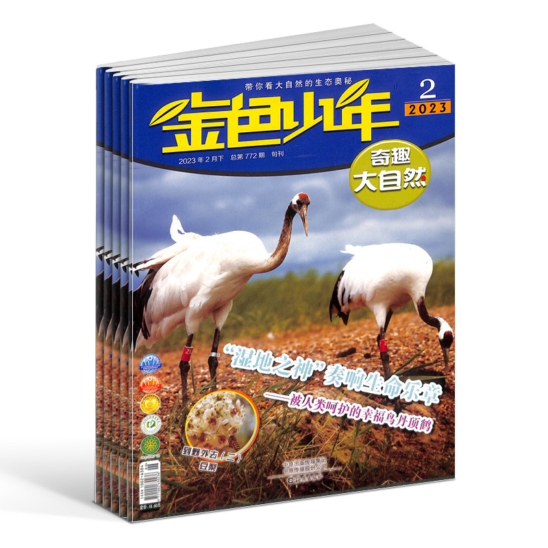 金色少年奇趣大自然 2024年6月起订 1年共12期原金色少年科普版 8-13岁少年儿童科普杂志自然科学杂志铺订阅-图0