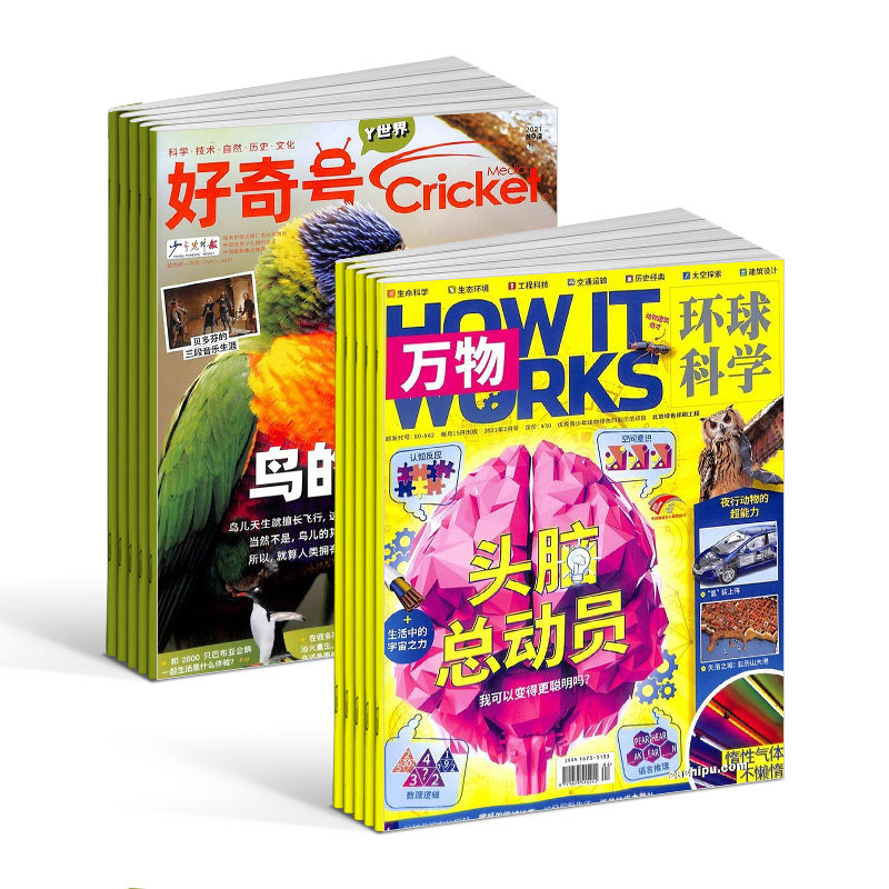 包邮好奇号+万物杂志组合 2023年1月起订组合共24期杂志铺美国Cricket Media版权合作科学历史文化少儿科普期刊书籍_虎窝淘
