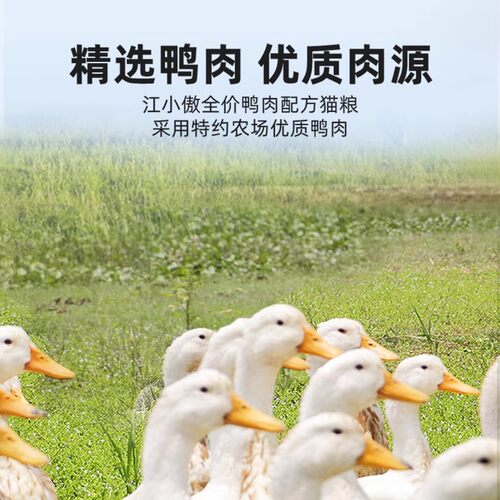 江小傲无谷全价猫粮1.5kg幼猫粮成猫粮3斤鸭肉配方20全阶段10 - 图1