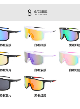 骑行眼镜登山雪地滑雪镜防紫外线