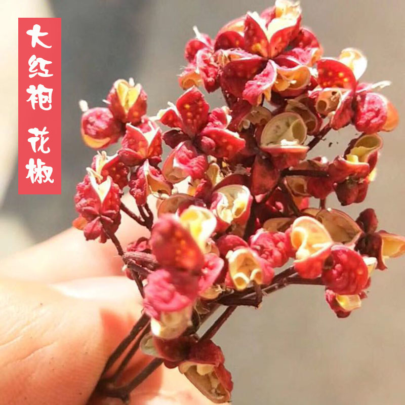 大红袍花椒山花椒麻香小花椒500克调味料香辛料大料无籽家庭饭店