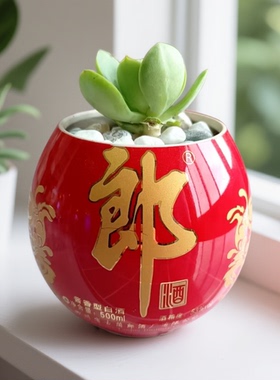 酒瓶制作绿植多肉花盆无花居家客厅办公室酒店装饰摆件花盆无底孔