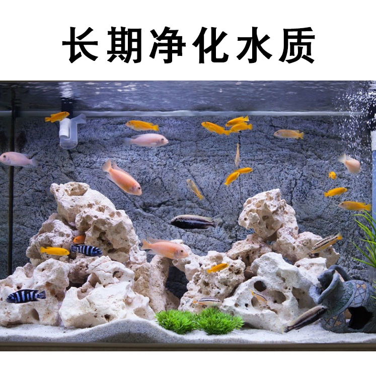 水族箱EM菌净水剂硝化细菌鱼缸水质稳定剂净化剂除氯水安定硝化菌-图2