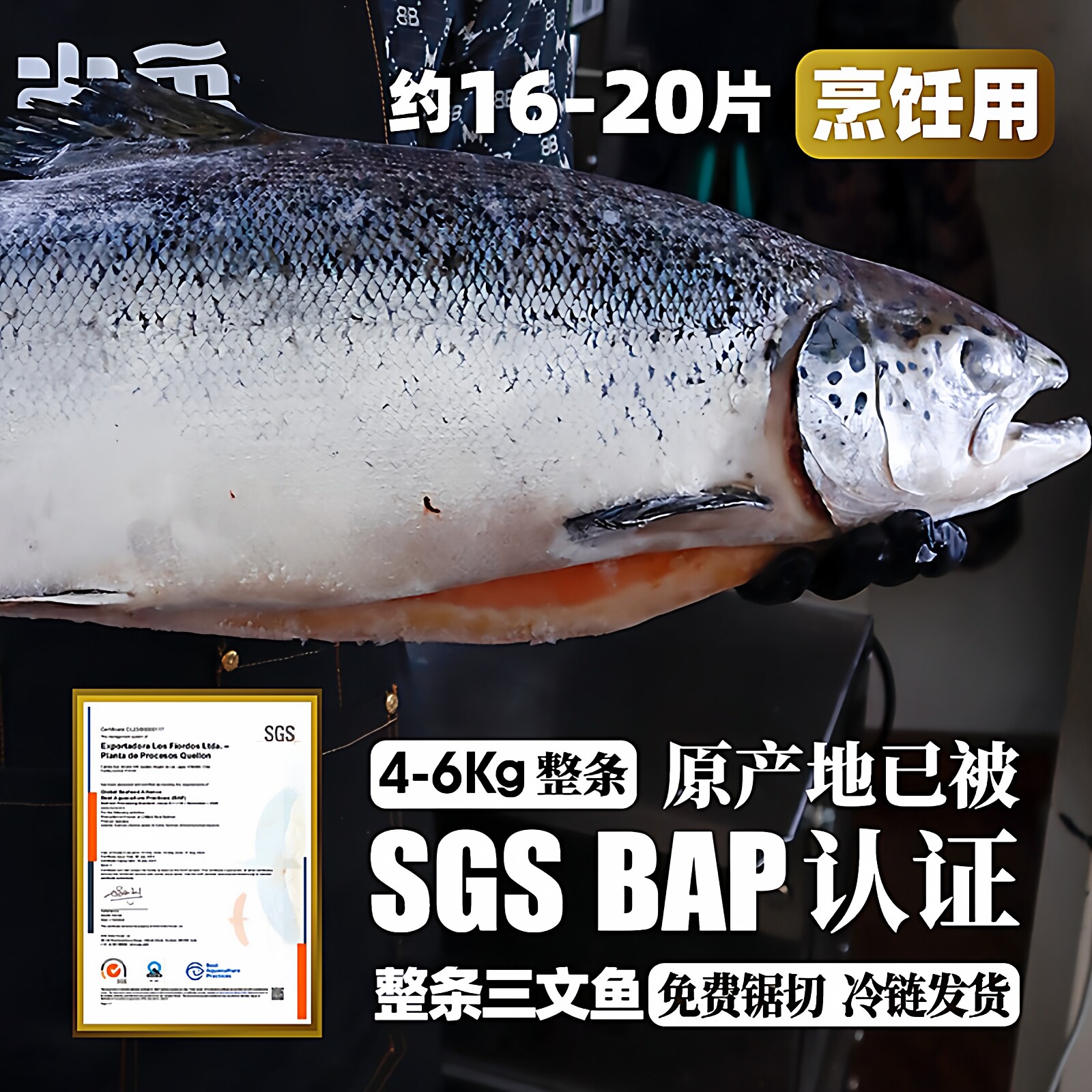 挪威三文鱼扒冷冻中段帝王鲑鱼鱼排新鲜智利一整条煎婴儿宝宝辅食