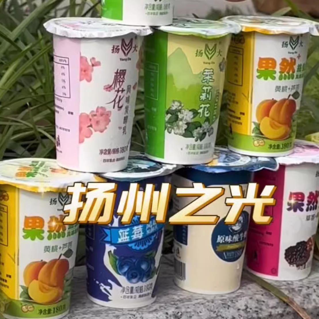 顺丰冷藏发货扬大酸奶茉莉花酸奶9种口味樱花味扬州大学风味味道-图0