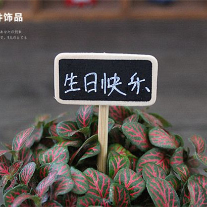 木质插牌小黑板展示盒场景造景手工沙盘diy苔藓微景观材料盆栽瓶 - 图1