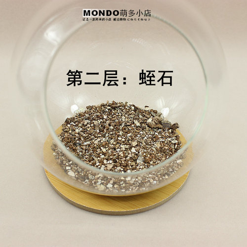 制微景观材料 diy植物盆栽 苔藓瓶 人气绿植办公室小花农满19包邮 - 图2