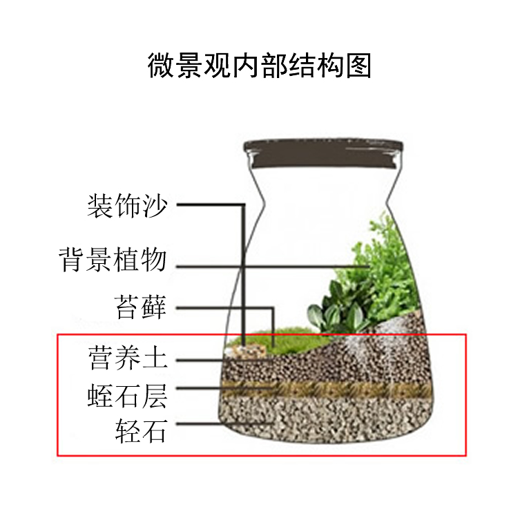 制微景观材料 diy植物盆栽 苔藓瓶 人气绿植办公室小花农满19包邮 - 图0