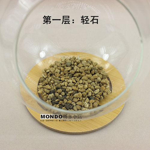 制微景观材料 diy植物盆栽 苔藓瓶 人气绿植办公室小花农满19包邮 - 图1