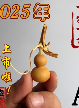 原色天津嘴一物一拍包邮小葫芦