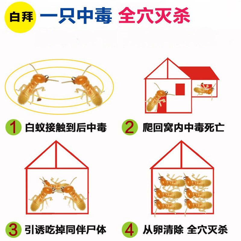 天鹰白蚁药水装修预防室内传染巢灭全窝端杀虫剂20%有效成分庆丰 - 图2