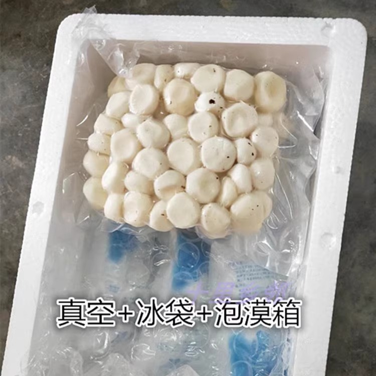 荔浦特产水果新鲜荸荠 去皮马蹄 现削现发 净重2斤包邮500G*2袋 - 图2