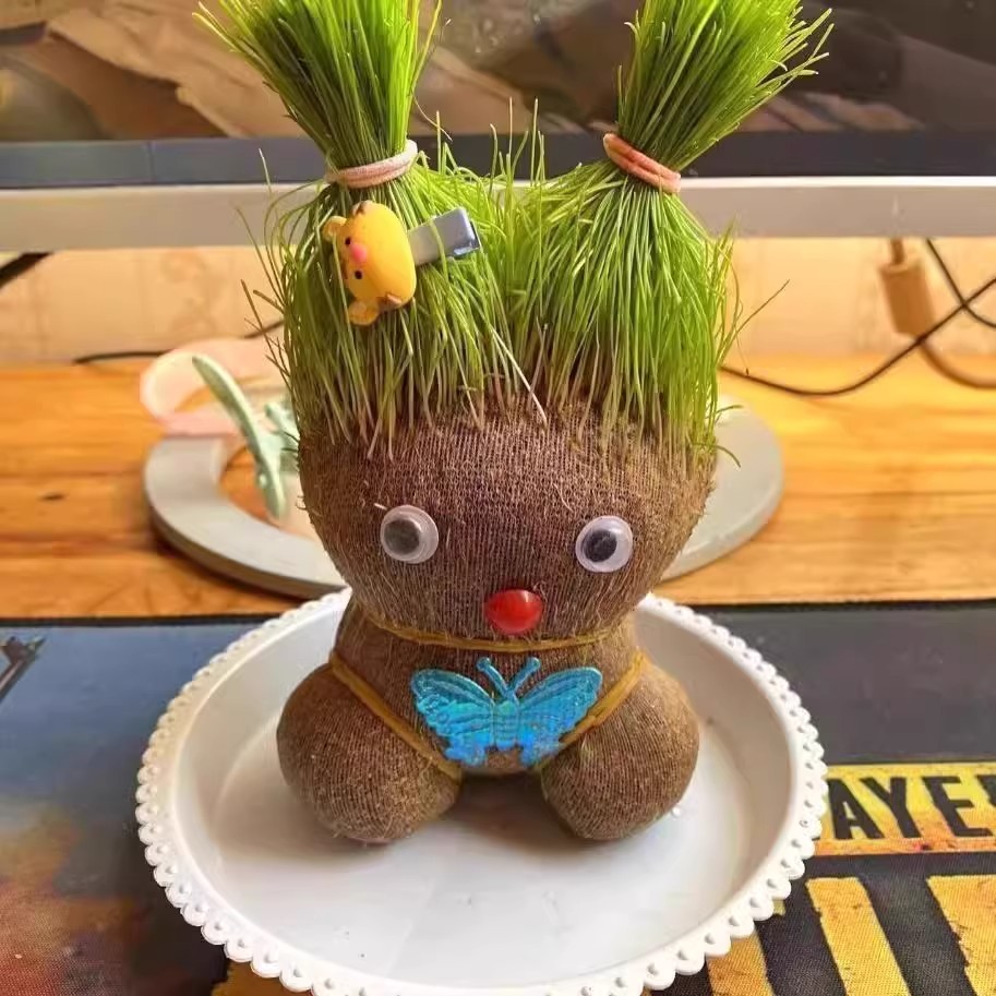 草头娃娃创意小盆栽桌面可爱植物趣味长草娃娃办公室好养水培绿植 - 图3