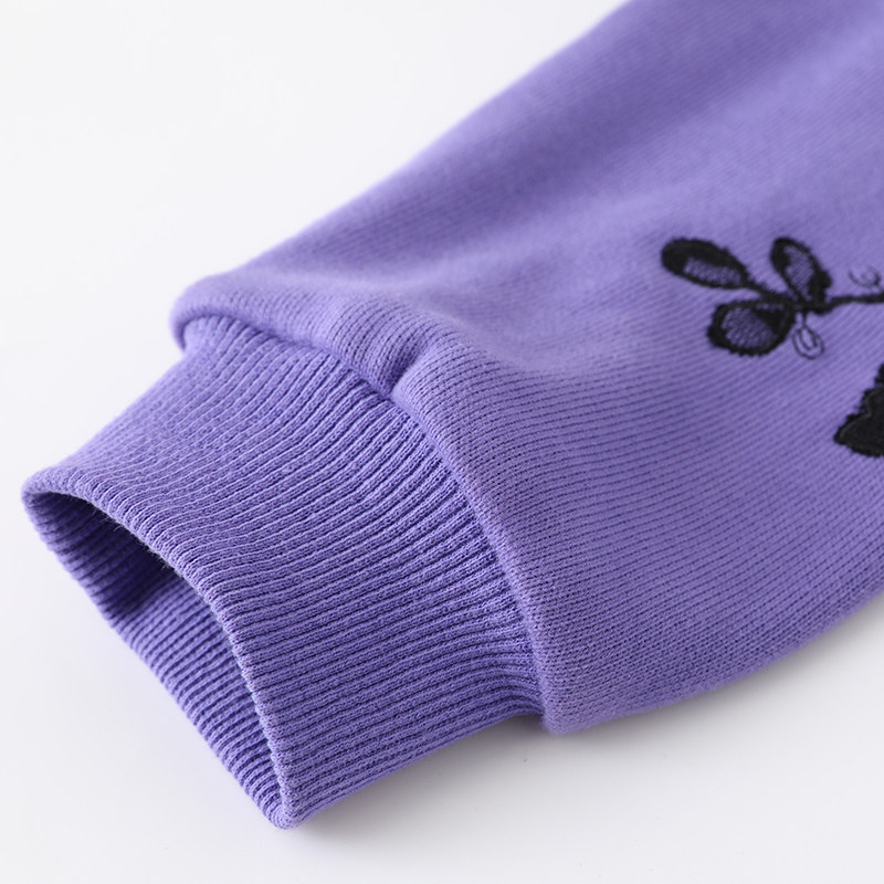 2020秋季装连帽韩版套头宽松卫衣 云妃秀大码女装