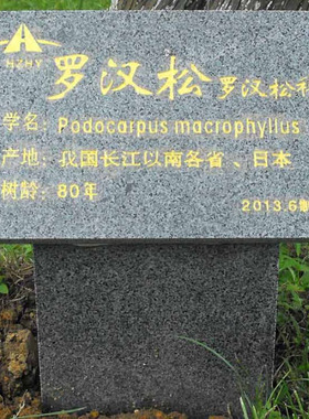 刻字大理石板花岗岩石碑