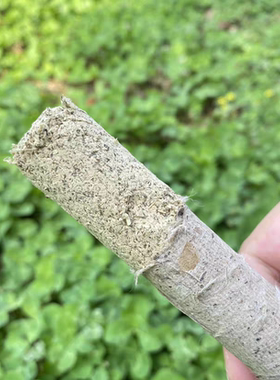 香怡御艾三年陈石磨艾条 1.8厘米陈艾条