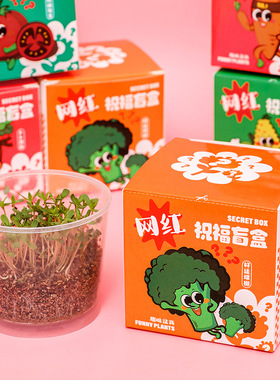 2025儿童种植盆栽小盲盒