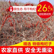 New goods Zhengzong Hanging Dry Without Smoked wolfberry Ningxia Te-level Gou 500 gr Tea Wine Meticulous and Sub-1 catty