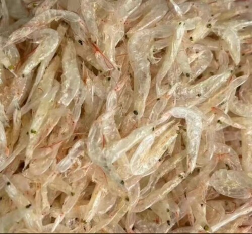 柯尔鸭粮食柯尔鸭可达鸭零食淡水鱼虾虾干面包虫银鱼鱼干大麦虫干 - 图3