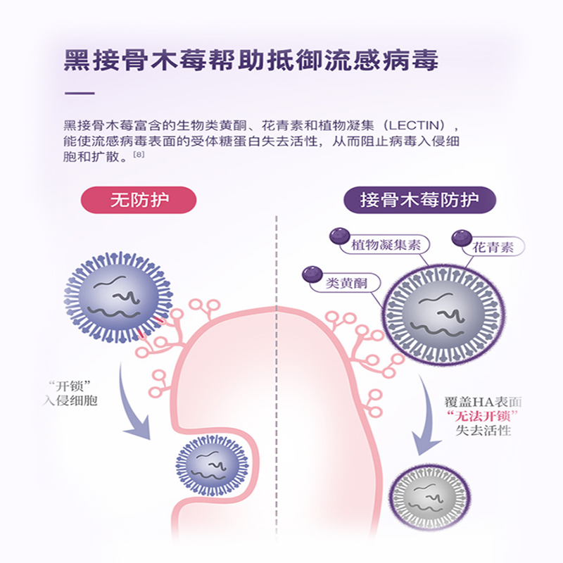 黑接骨木莓儿童糖浆维生素C婴幼儿维c增强免疫力提高抵抗力vc软糖-图1