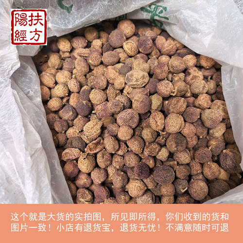 扶阳经方春砂仁中药材广东阳春养胃沙仁新货精选阳春砂春沙 - 图3