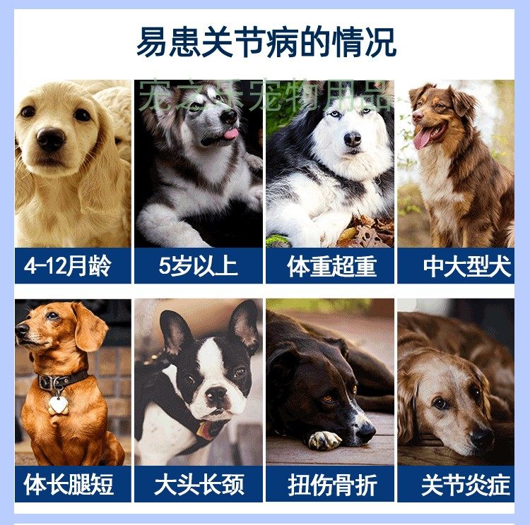 梅香片膝髋宝宠物狗颈椎脊椎炎关节炎神经炎腿瘸老年关节髌骨脱位,淘宝优惠券,粉丝福利购,淘宝优惠卷