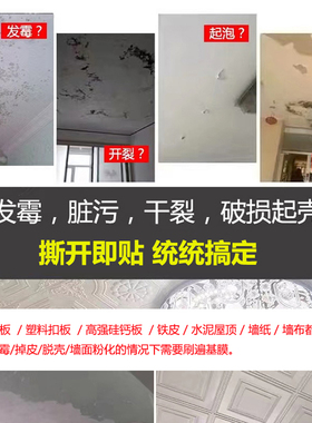 天花板贴纸客厅墙贴棚顶壁纸自粘