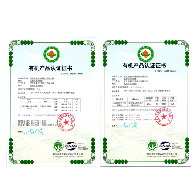 椰仙五指山有机红茶 黎王红125g海南特产茶叶 正宗工夫红茶 茶礼