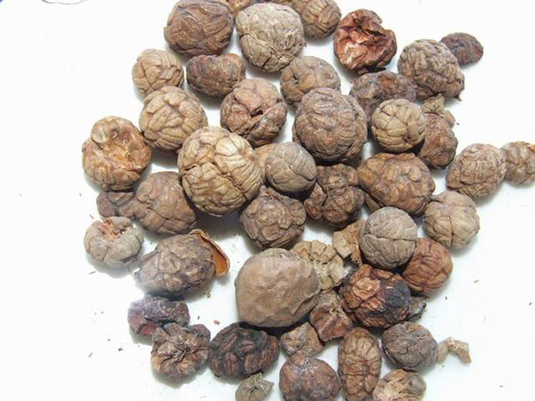 草寇仁50g草豆蔻老寇草扣大草寇炖肉煮卤料香料调料_虎窝淘