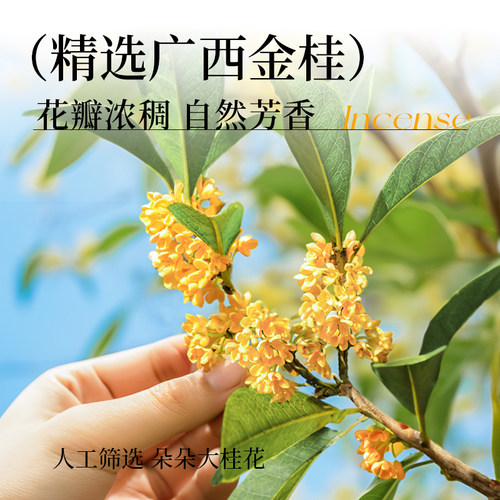 展艺桂花蜂蜜原料糖浆0脂酒酿冰粉奶茶酱钵仔糕专用烘焙家用旗舰-图1