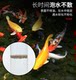 ປາ Koi ໃຫ້ອາຫານປາຂະຫນາດນ້ອຍທີ່ມີທາດໂປຼຕີນສູງ Tongwei