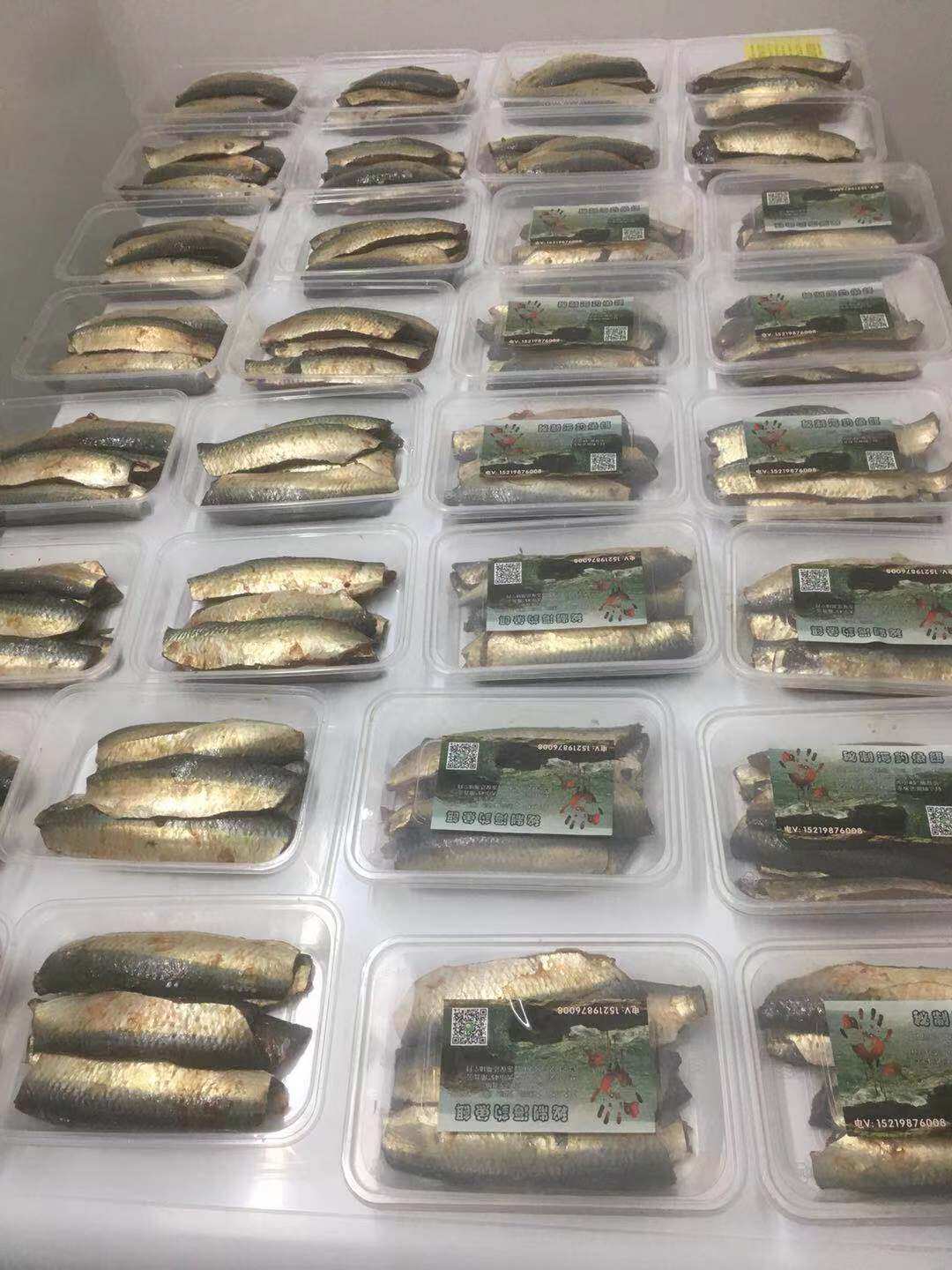 整条新鲜秘制温鱼饵姑鱼饵海钓矶钓筏钓鱼沙丁鱼万能鱼饵黑雕石斑