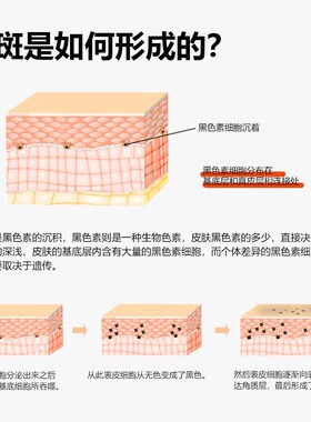 芝铭玉颜美肌霜正品新日期