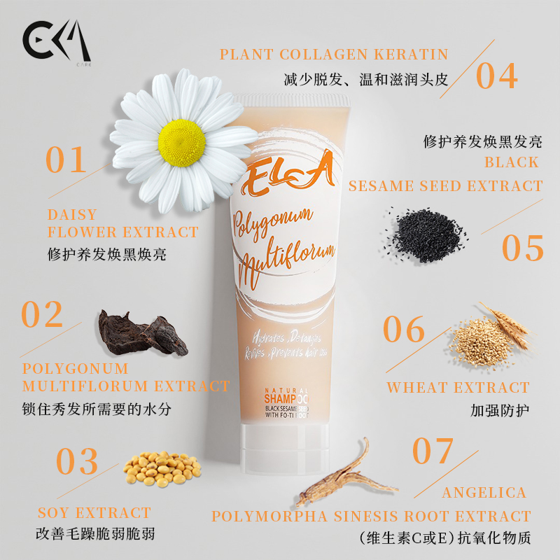 ELA POLYGONUM MULTIFLORUM SHAMPOO 何首乌防脱固发柔顺洗发露 - 图0