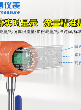 高精度热感气体质式流量计传B量器烟气氮气压缩空气管道插