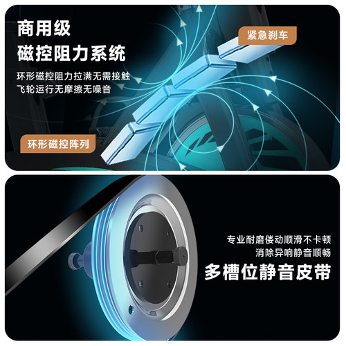 雷克动感单车家用款超静音智能室内健身房自行车减肥锻炼运动器材 - 图0