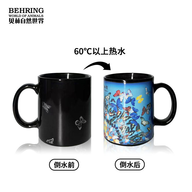 贝林自然世界X上海自然博物馆蝴蝶变色马克杯创意文创博物馆好礼