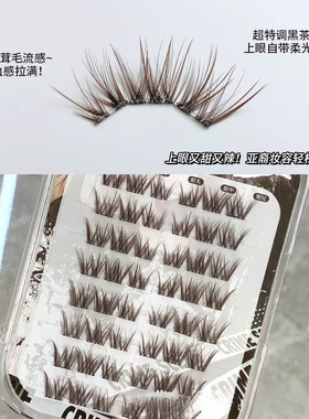 麦丢丢·黑茶转校生混血感亚裔辣