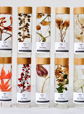 植物标本中古软装送朋友老师瓶子