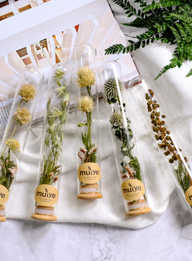 植物标本玻璃试管个性礼品家摆件