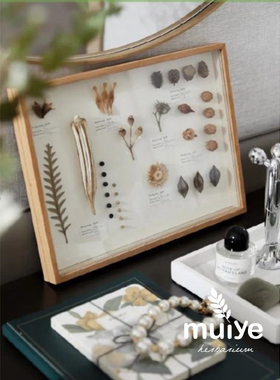 实木相框复古怀旧书房植物便宜