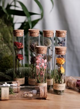 玻璃试管标本干花植物创意节日